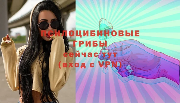 прущие крисы Богородицк