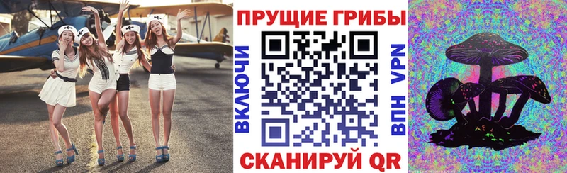 Галлюциногенные грибы GOLDEN TEACHER  сколько стоит  Городище 
